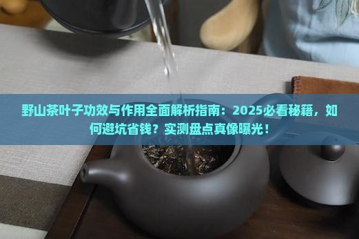 野山茶叶子的功效与作用