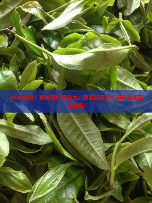 梅州的茶叶好吗