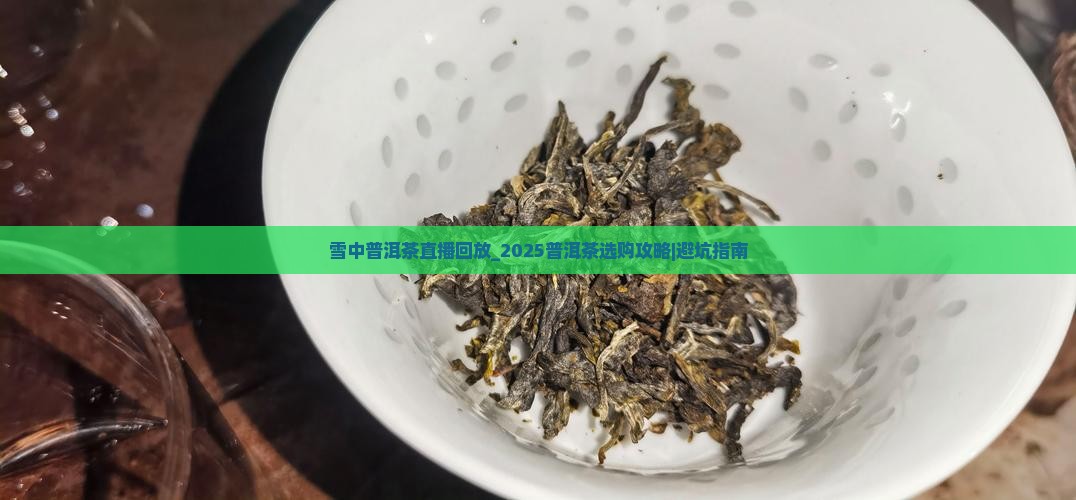 雪中普洱茶直播回放