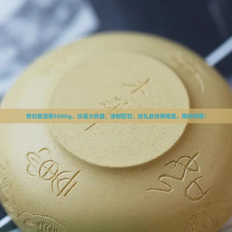 昔归普洱茶3000g