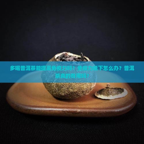 多喝普洱茶能提高免疫力吗