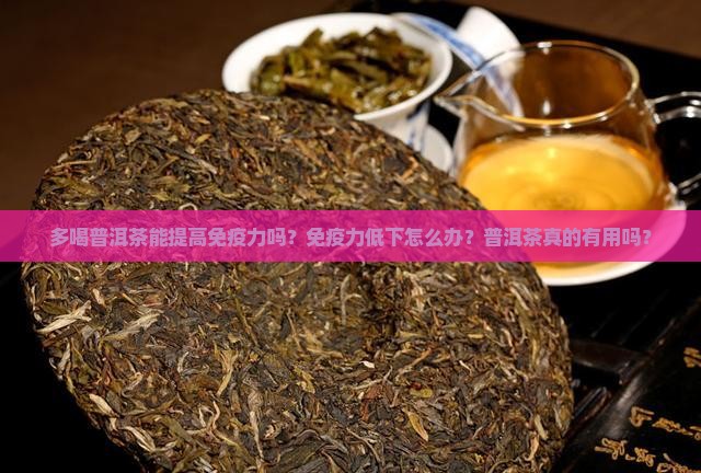 多喝普洱茶能提高免疫力吗