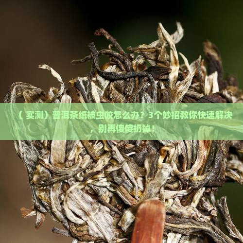 普洱茶纸被虫咬