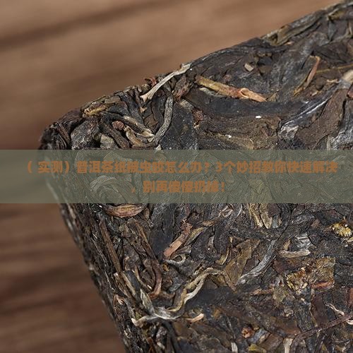 普洱茶纸被虫咬