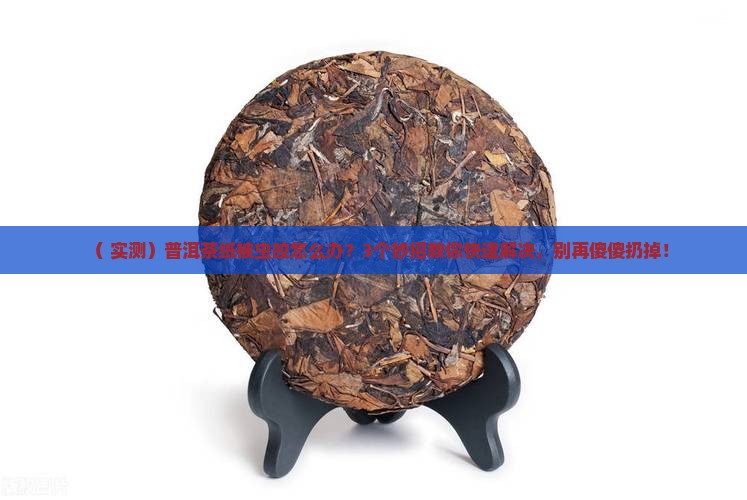 普洱茶纸被虫咬
