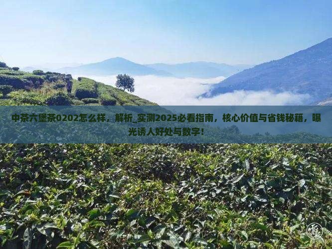 中茶六堡茶0202怎么样