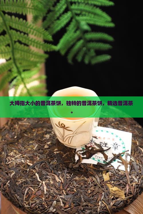 大拇指大小的普洱茶饼