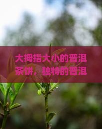 大拇指大小的普洱茶饼