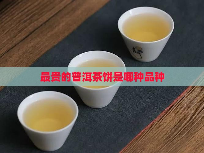 最贵的普洱茶饼是哪种品种
