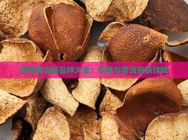 厚德普洱茶品种大全