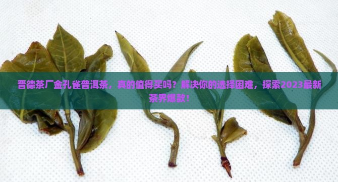晋德茶厂金孔雀普洱茶