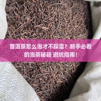 普洱茶有什么做法