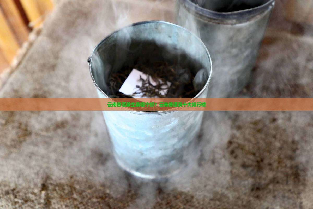 云南普洱茶生茶哪个品牌好