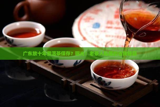 广东放十年普洱茶保存