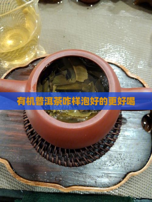 有机普洱茶咋样泡好的更好喝