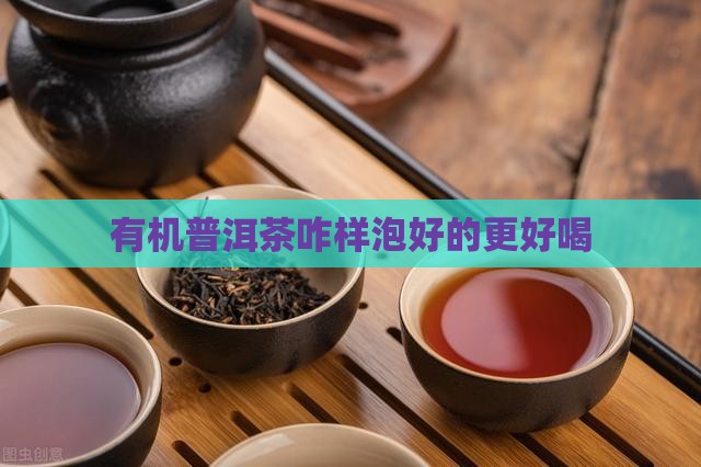有机普洱茶咋样泡好的更好喝