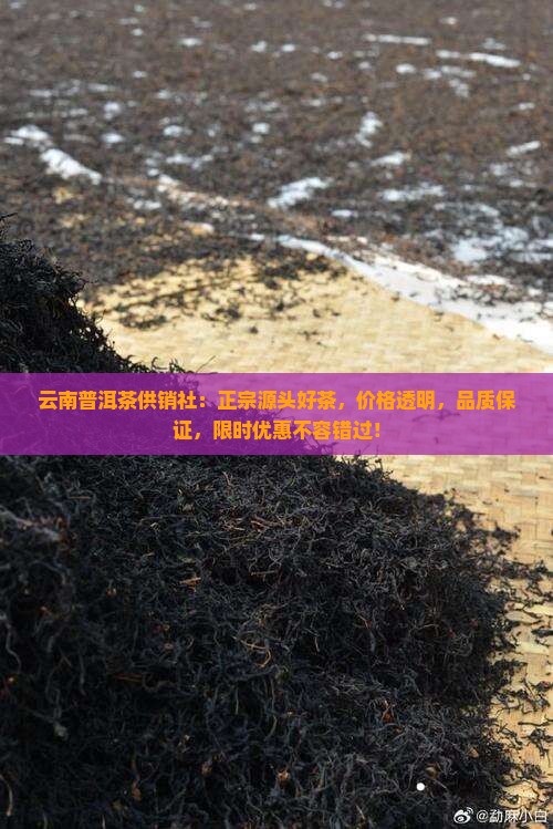 云南普洱茶供销社
