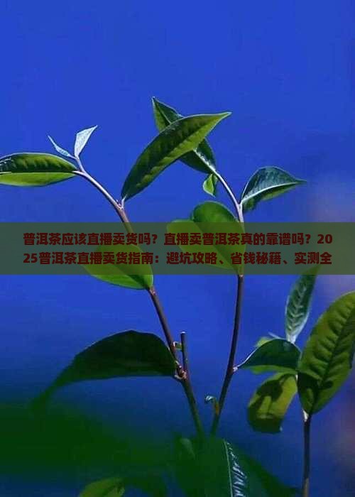 普洱茶应该直播卖货吗