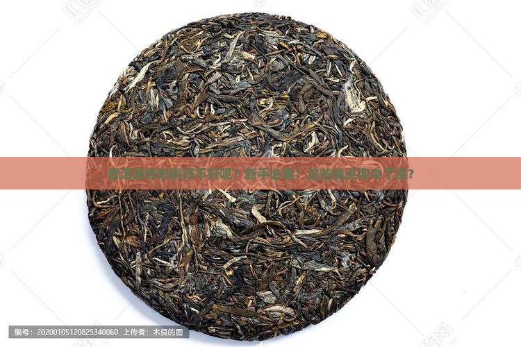 普洱茶咋辨别好不好呢