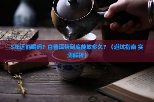 白普洱茶能放多少年过期