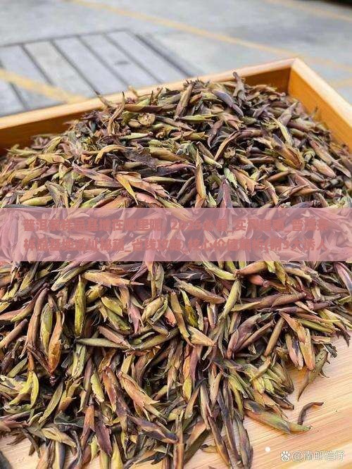 普洱茶样品基地在哪里呢