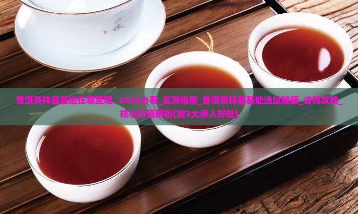 普洱茶样品基地在哪里呢