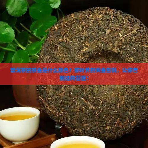 普洱茶的茶金是什么颜色
