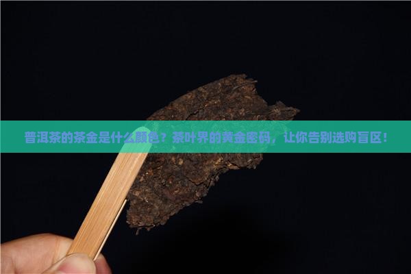 普洱茶的茶金是什么颜色
