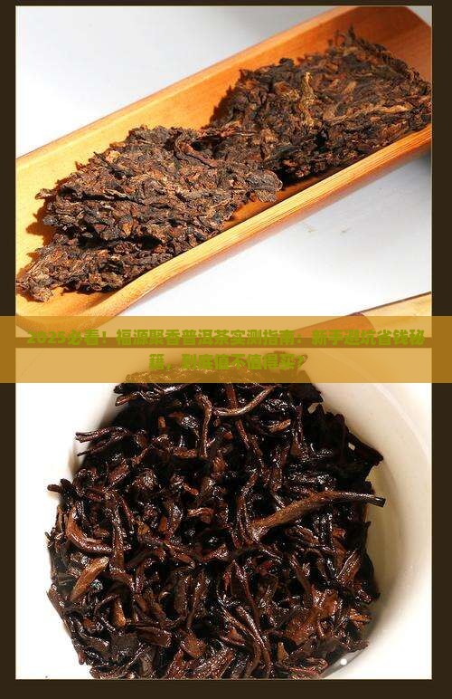 福源聚香普洱茶