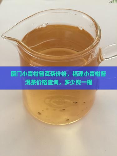 厦门小青柑普洱茶价格