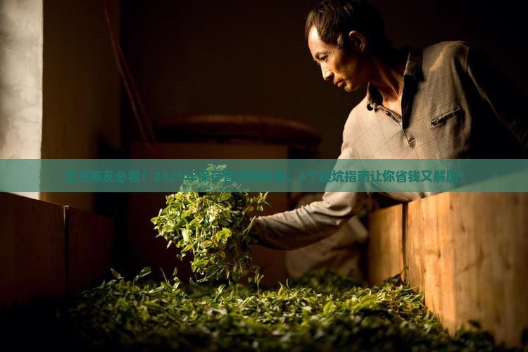 北方如何保存普洱茶