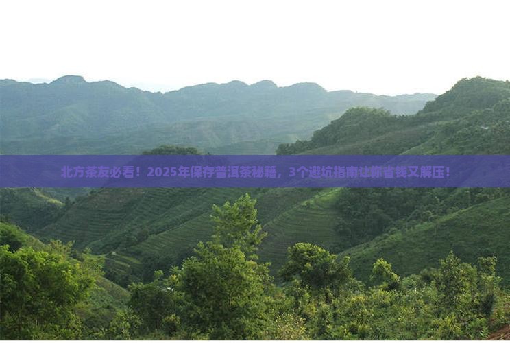 北方如何保存普洱茶