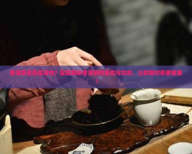 普洱茶是否是凉性