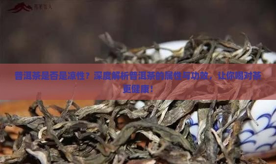 普洱茶是否是凉性