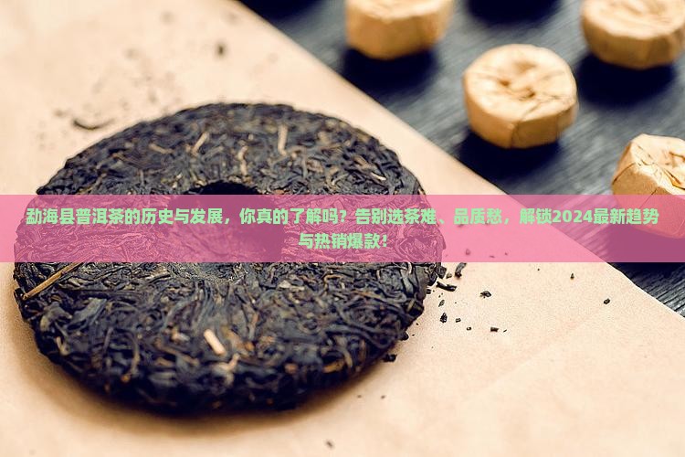 勐海县普洱茶的历史与发展