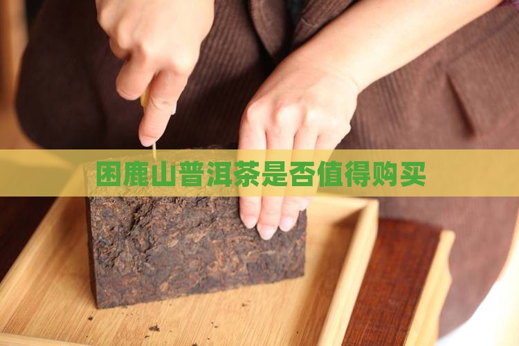 困鹿山普洱茶是否值得购买