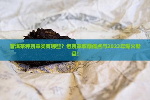 普洱茶种班章类有哪些