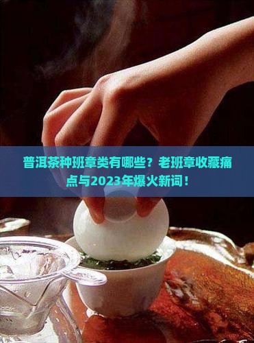 普洱茶种班章类有哪些