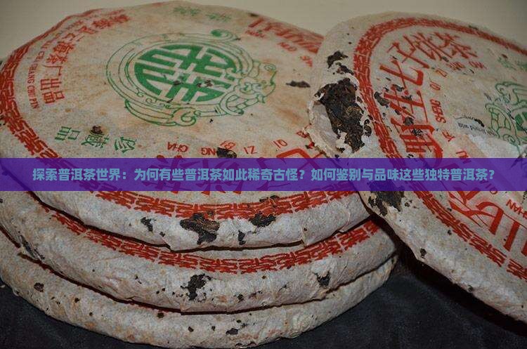 探索普洱茶世界：为何有些普洱茶如此稀奇古怪？如何鉴别与品味这些独特普洱茶？