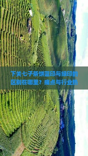 下关七子茶饼蓝印与绿印的区别在哪里？痛点与行业热词！