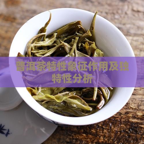 普洱茶特性象征作用及独特性分析