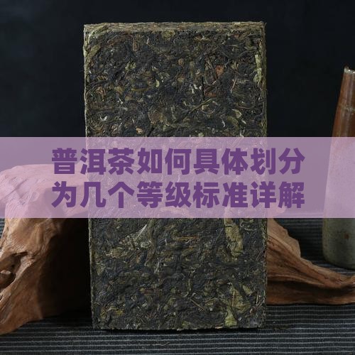 普洱茶如何具体划分为几个等级标准详解