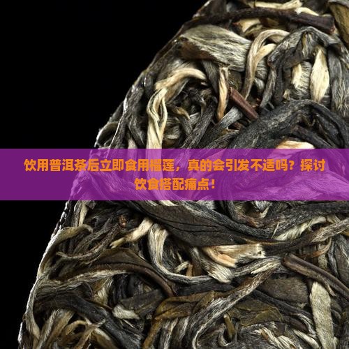 饮用普洱茶后立即食用榴莲，真的会引发不适吗？探讨饮食搭配痛点！
