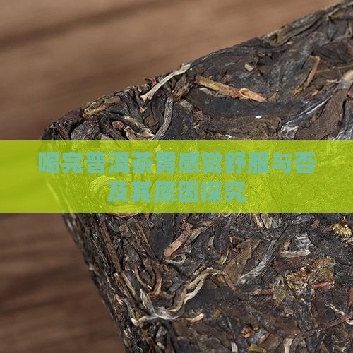 喝完普洱茶胃感觉舒服与否及其原因探究