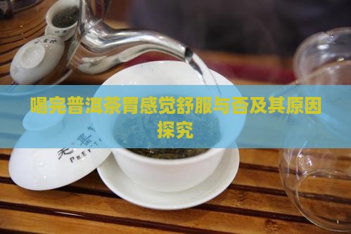 喝完普洱茶胃感觉舒服与否及其原因探究