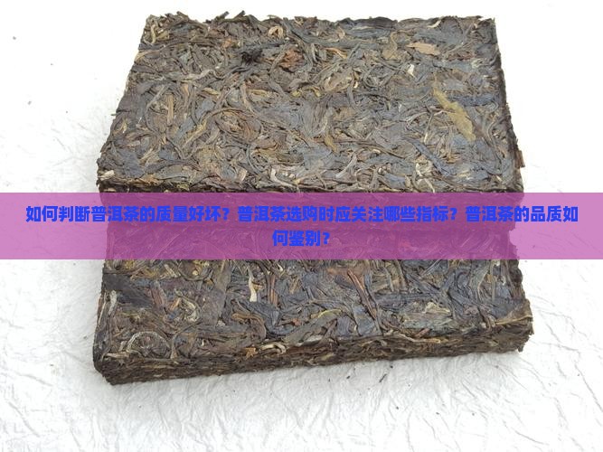 如何判断普洱茶的质量好坏？普洱茶选购时应关注哪些指标？普洱茶的品质如何鉴别？
