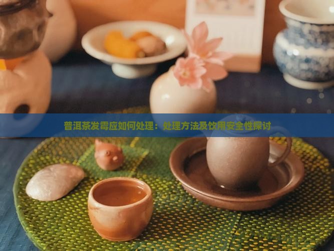普洱茶发霉应如何处理：处理方法及饮用安全性探讨