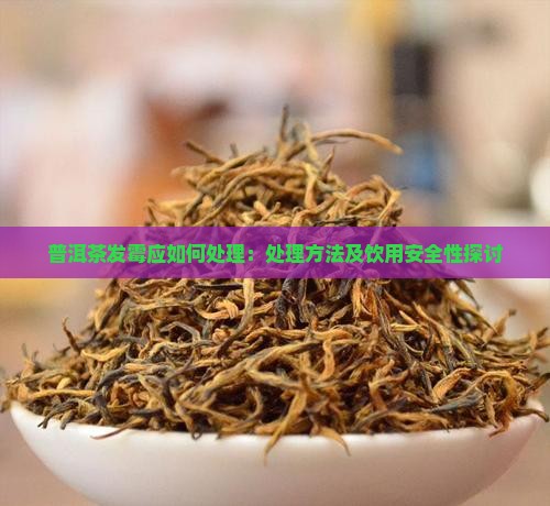 普洱茶发霉应如何处理：处理方法及饮用安全性探讨