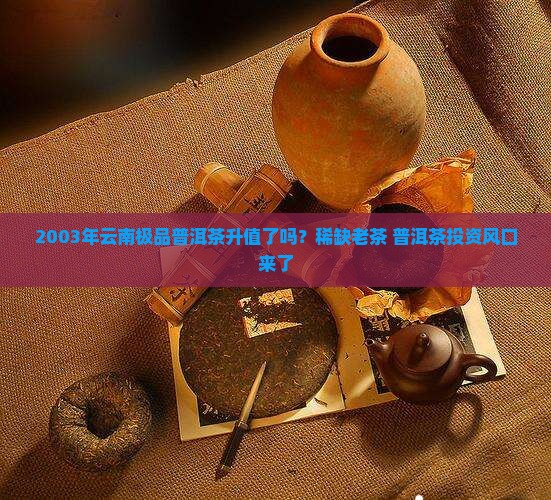 2003年云南极品普洱茶升值了吗？稀缺老茶+普洱茶投资风口来了