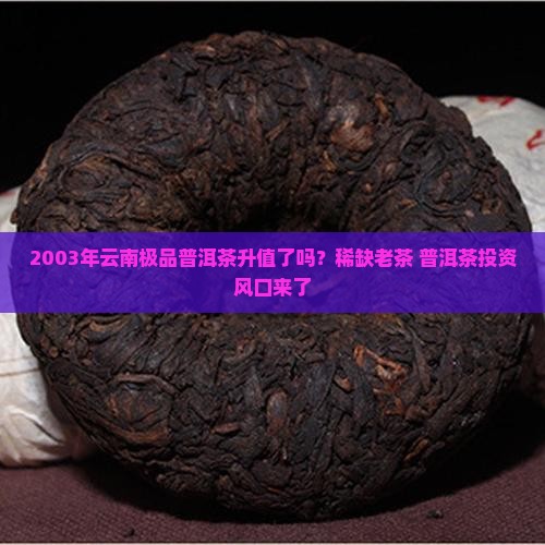 2003年云南极品普洱茶升值了吗？稀缺老茶+普洱茶投资风口来了